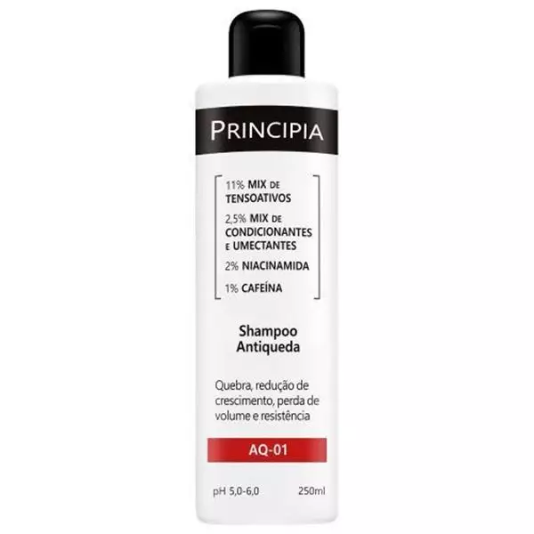 Shampoo Antiqueda Principia AQ-01 250 ml